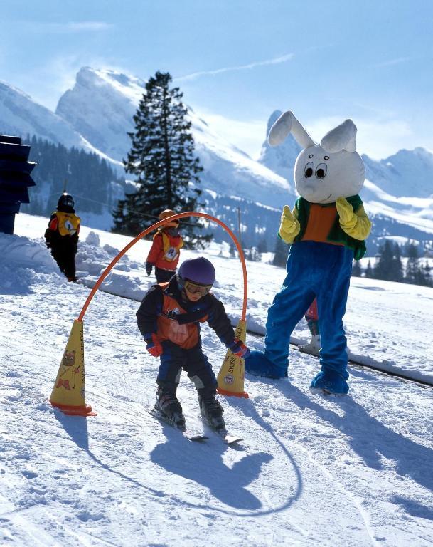 Hotel Sonne Amden Bagian luar foto