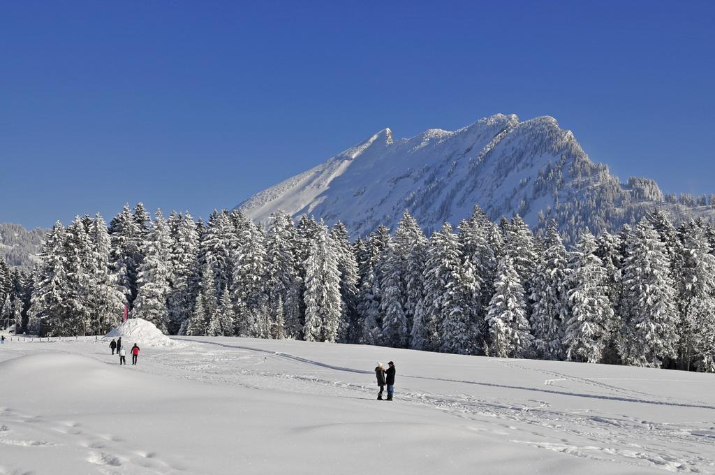 Hotel Sonne Amden Bagian luar foto